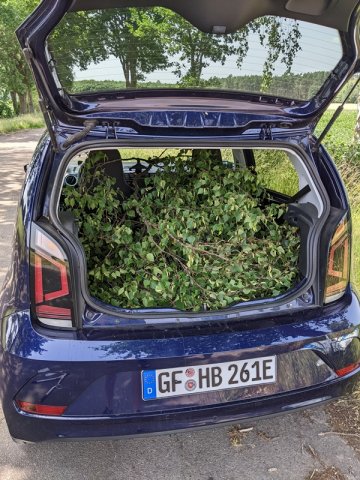 2022_06_20_Schuetzenfest (3)